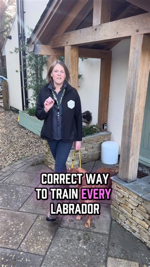 Tails of Success - Labrador Training on Instagram: "Your Labrador’s personality, motivation, past experiences, your timing, your confidence, and the environment you’re in all shape the results you see. Every Labrador learns differently. Every owner handles differently. And real life is never a perfectly controlled training setup. There’s no one-size-fits-all approach when it comes to training Labradors, and that’s why copying a method from a book, video, or someone else’s dog doesn’t always work