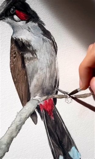 bulbul Bird's water colour sketch 🖌️#artscraft #viralvideo #drawing #sketch #painting