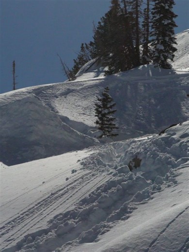 Whitelines Snowboarding Magazine on Reels