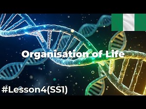 Organisation of Life | SS1 Biology Lesson 4 (Cell → Tissue → Organ → System)
