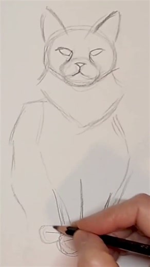 How to Draw Fluffy Sitting Cat #catdrawing #easycatdrawing #howtodraw #cat #drawingtutorial