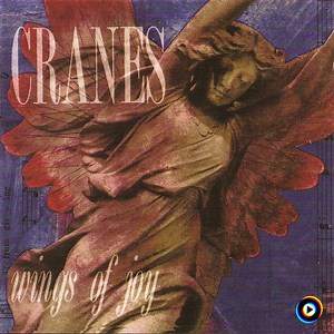Beautiful Sadness by Cranes