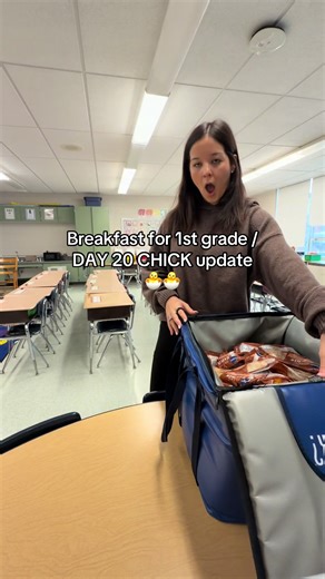 First Grade Chick Update: Two Hatched!