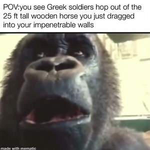 214K views · 10K reactions | O shi…… | Donut Operator | Facebook