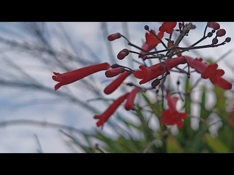 Can You Solve This? 🧠 99.9% Fail This Logic Test! #live#maths#puzzles