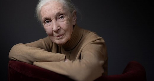 Jane Goodall discusses “The Book of Hope”