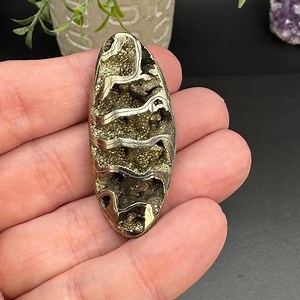 Pyrite Ammonite Fossil Specimen - Pyritized Ammonite - Rare Mineral! - Etsy