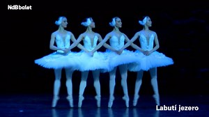 1.2K views · 62 reactions | 廉 LABUTÍ JEZERO 廉 Únor bude patřit baletu...