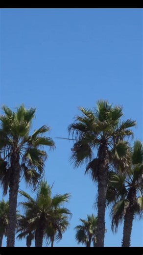 6.7K views · 4.6K reactions | BELL-222 last Fly-By over Huntington Beach such a awesome helicopter glad everyone survived #bell222 #b222 #helicopters #helicopter | Epicaviation47-Helicopter King | Facebook