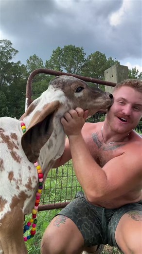 Name Announcement for Scrunch’s girlfriend!🐮 also thank you guys for being here!🥹#foryou #update #reveal #calf #cowsoftiktok