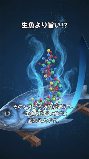 生魚より旨い!? 干物の“魔法の仕組み”
