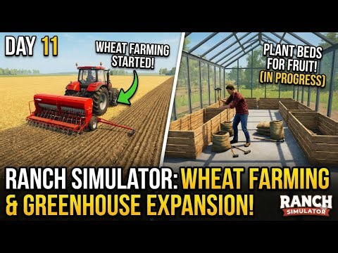 Finally Using the TRACTOR! 🚜 Planting Our First Wheat Harvest