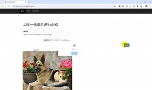 【猫狗识别系统】图像识别Python TensorFlow 卷积神经网络算法 人工智能深度学习