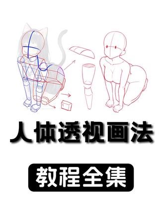 3小时超长零基础教程，一口气看懂人体透视！ 全套人体透视素材/笔刷/软件教程敲888抱走，看完你会觉得透视居然如此简单#绘画 #板绘 #人体结构 #透视 #绘画课程
