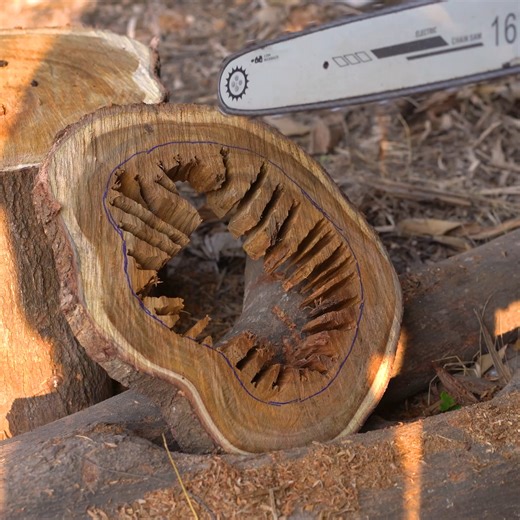 174K views · 2.4K reactions | Turn Log Into Most Amazing Wooden Light Decoration Projects | Woodworking Tools TV | Facebook