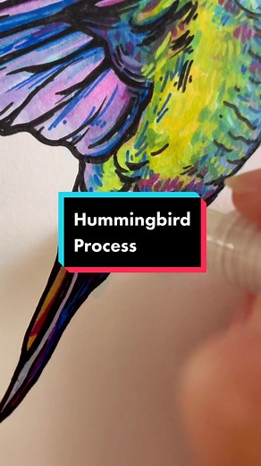 Simple Hummingbird Drawing Tutorial