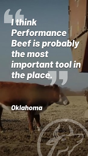 Greg Williams knows best: When it comes to running a profitable operation, every tool counts. But the most important tool in the toolbox is clear: Performance Beef. | Performance Livestock Analytics