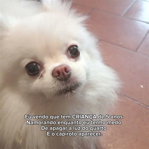 #cutecore tem gente de 12 anos se casando