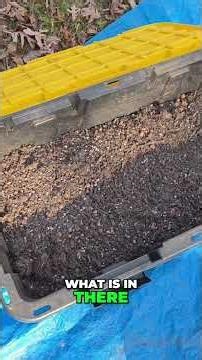 Stop Buying New Soil: How to Recycle & Re-Amend Soil the Natural Way #shorts