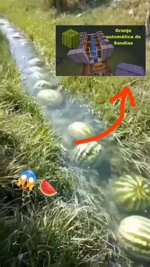 @hot.pastrami.sandwhich | To build an automatic melon farm in Minecraft, follow these steps: 1. Gather materials including melon seeds, farmland (hoed dirt),... | Instagram