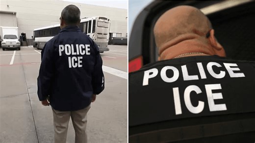 Here's how ICE arrests differ between red and blue states, according to data