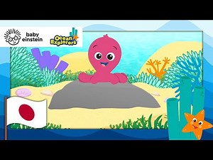 探検しよう: ウミガメの赤ちゃんと相反するもの！| Baby Einstein | 子供向け漫画 | 子供向け漫画 | キッズラーニングショー
