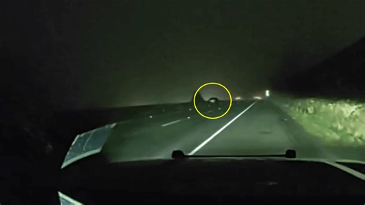Driver without lights on clocks 156 mph on I-5, disappears into fog on New Year's Eve