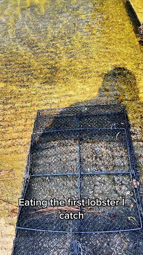 Lobster ramen #cooking #fishing #easyrecipes #outdoors #seafoodlover #fish | Wade Fishez