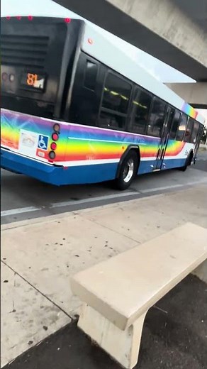 TheBus Honolulu Bus Gillig Low Floor 40 ft’ 538 Route 81 Express Downtown (leaving)