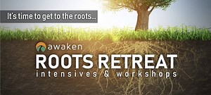 Roots Retreat Men's Recovery Intensive - Awaken Recovery