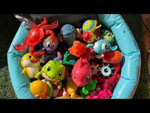 Ocean Animals for Kids | Learn Sea Animal Names and Fun Facts with Toy Sea Creatures