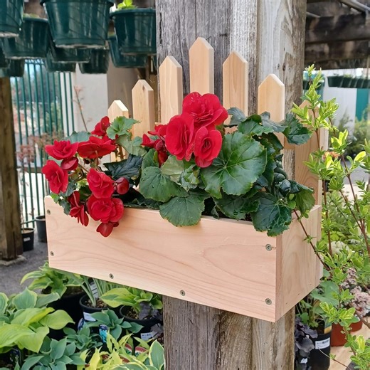 Easy DIY Picket Fence Cedar Planter Box Plan: Fun Beginner Woodworking Project (PDF Download) - Etsy