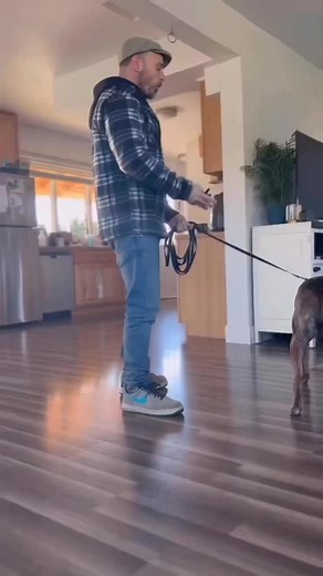 For all those freaking out about yesterday’s video demonstrating my very first e-collar-based “Reverse Perception” training session with a highly fearful Mal—and drawing all manner of silly conclusions about what I’m doing, how wrong it is, and how terribly confusing it is to the dog, here’s a short montage of another fearful dog I worked with using the same approach. This is 3 training sessions, done in front of a shadow group. Just because you don’t understand what’s occurring doesn’t mean the