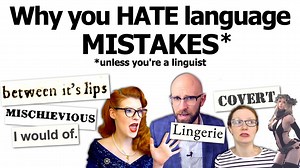 Why Do Experts Always Defend Language Mistakes