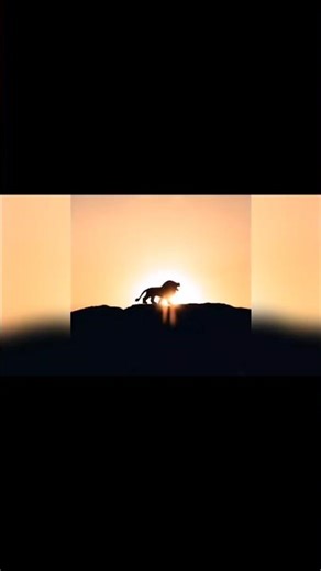 Roar Like a Lion #new #music #shorts