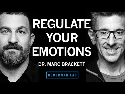 Dr. Marc Brackett, psychologist, on emotional intelligence: “We master strategies for regulating our emotions”