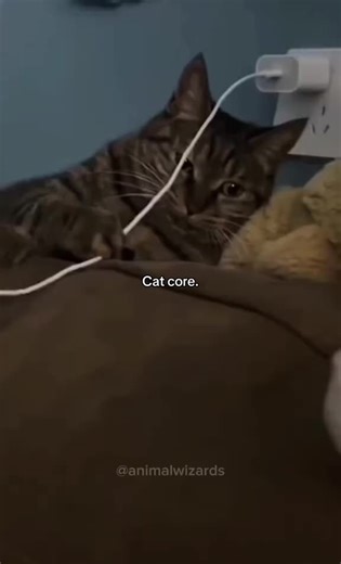 shuffles (@shuffles331)’s videos with original sound - shuffles