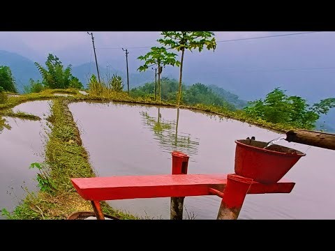 Water-powered corn and grain milling machine, live broadcast p32