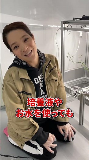 再生不可能なカイワレ大根を再生させてみた結果！＃水耕栽培＃水耕栽培キット＃水耕栽培初心者＃インテリアグリーン