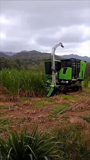 GrassToGlass on TikTok