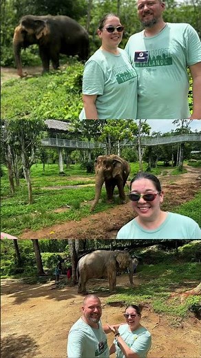 Phuket Elephant Sanctuary