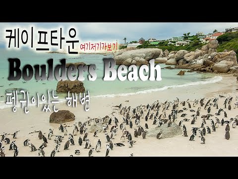 걸어서 세계속으로, 남아프리카 케이프타운 여행 7 - 펭귄을 볼수있는 해변, 볼더스비치(Boulders Beach)