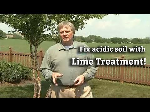How to Apply Lime to Your Lawn | Fix Acidic Soil Fast
