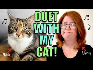 Something Stupid Parody Song - Duet with my Cat!