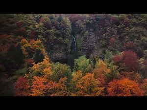 Autumn Forest Waterfall from an Aerial Perspective
