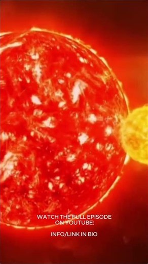 Our Sun vs Betelgeuse: Which Star Wins? 🌟 #space #stars #shorts