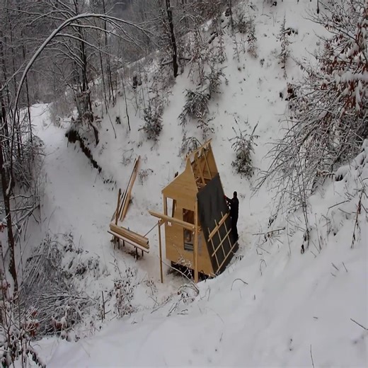 1.1M views · 7.5K reactions | I Build a log cabin house in the mountain for the winter. | Jungle Survival Camping | Facebook