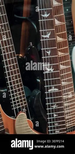Professional stringed musical instruments showing strings and metal frets. Premium equipment displayed for sale in modern retail shop Stock Video Footage - Alamy