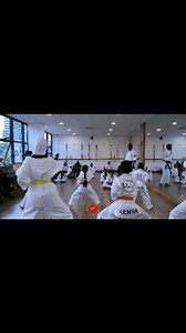 Dragon Kai martial arts dojo #martialarts #trainingison #tongilmoodo #kyokushin_karate #fyp | Dragon Kai Martial Arts