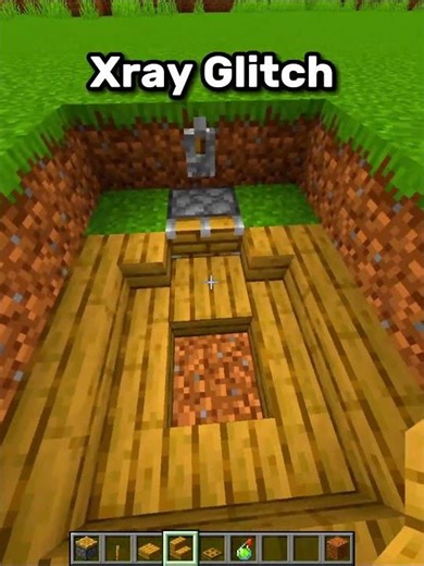 Minecraft Xray Glitch 💀